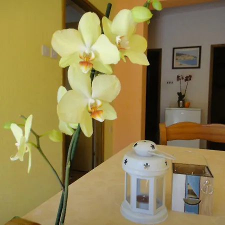 Apartmán Vera *