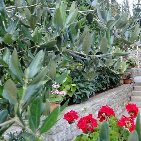 Vera Mošćenička Draga