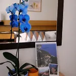Apartman Vera *