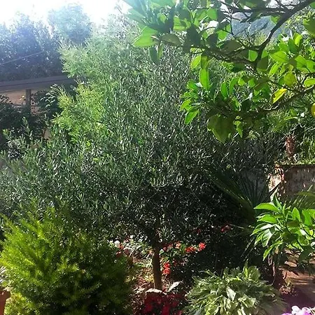 Vera * Mošćenička Draga