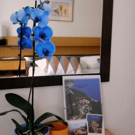Apartment Vera *