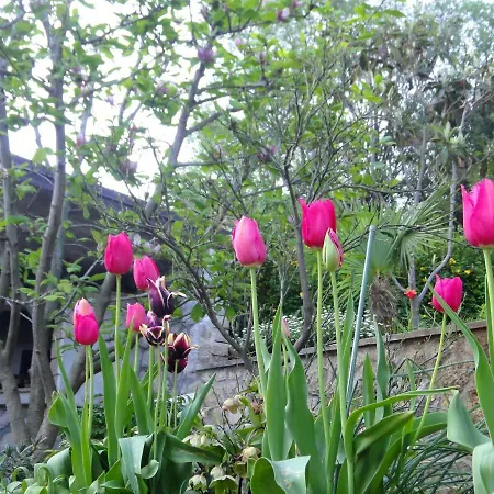 דירה Vera Mošćenička Draga