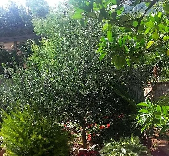 Vera * Mošćenička Draga