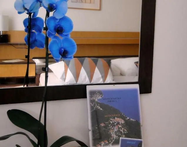 Apartman Vera *