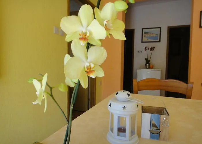 Apartman Vera *
