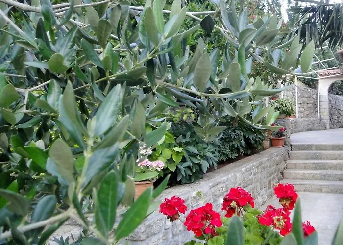 Vera Mošćenička Draga