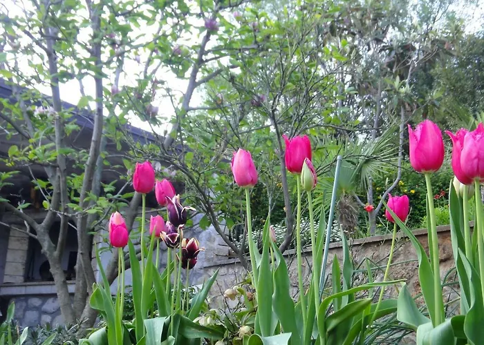 Apartamento Vera Mošćenička Draga